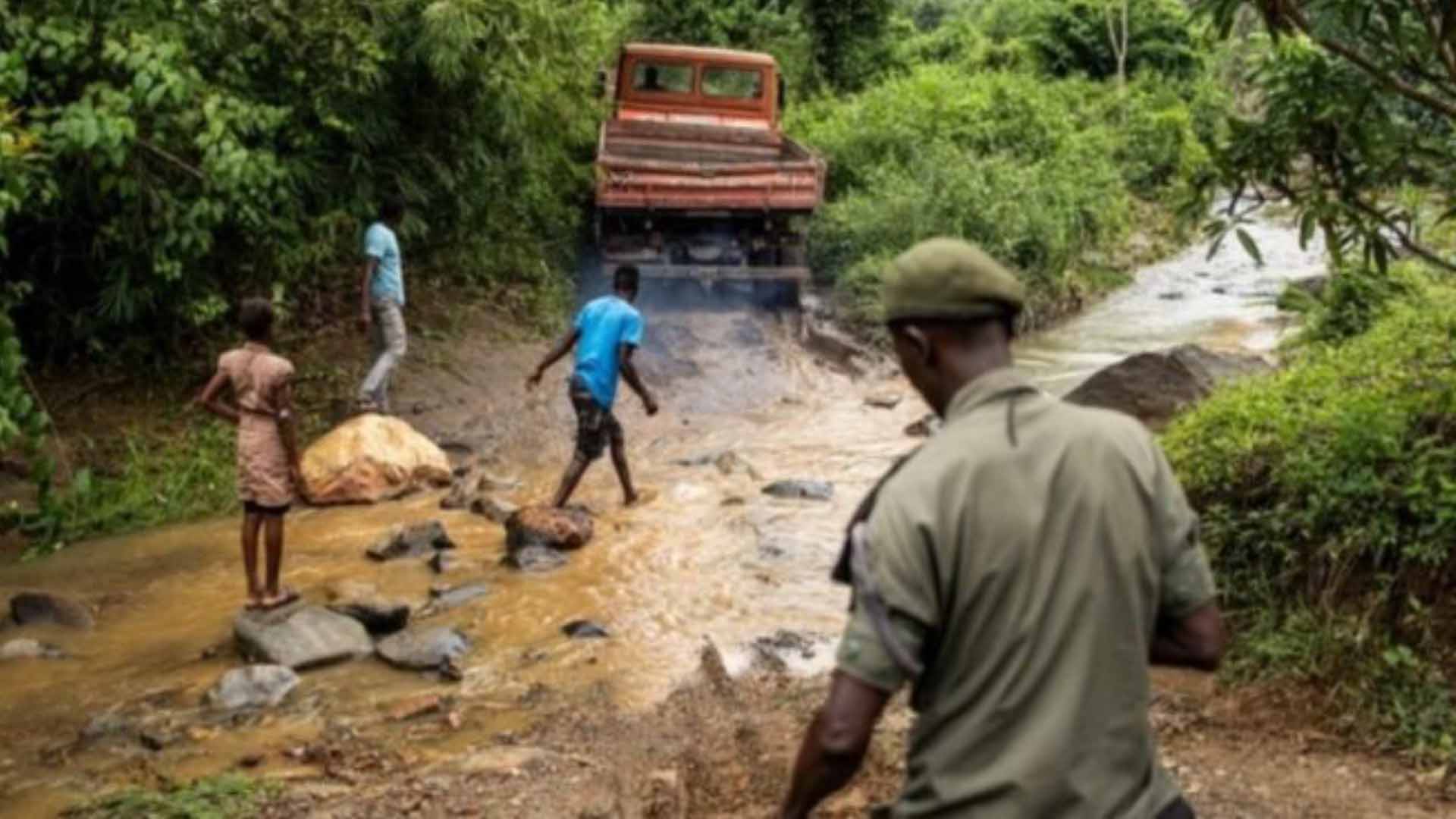 Sierra Leone Rangers Face a Tough Fight against Deforestation