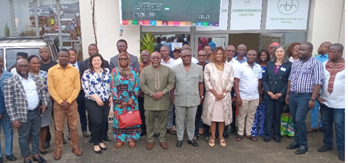 Sierra Leone hosts localising the UN SDGs & Agenda 2063 Workshop - AYV ...